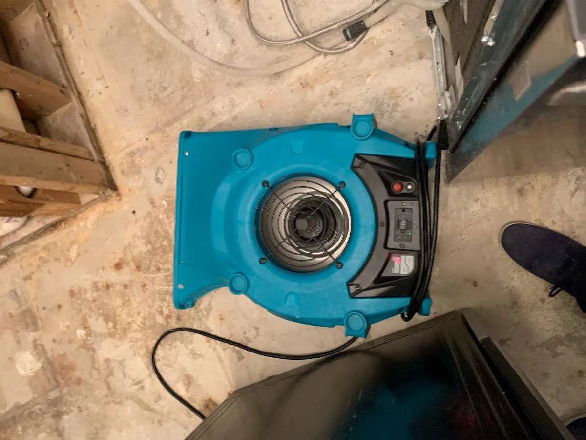 Air mover drying equipment for Mold Remediation & Removal in Rio Rancho