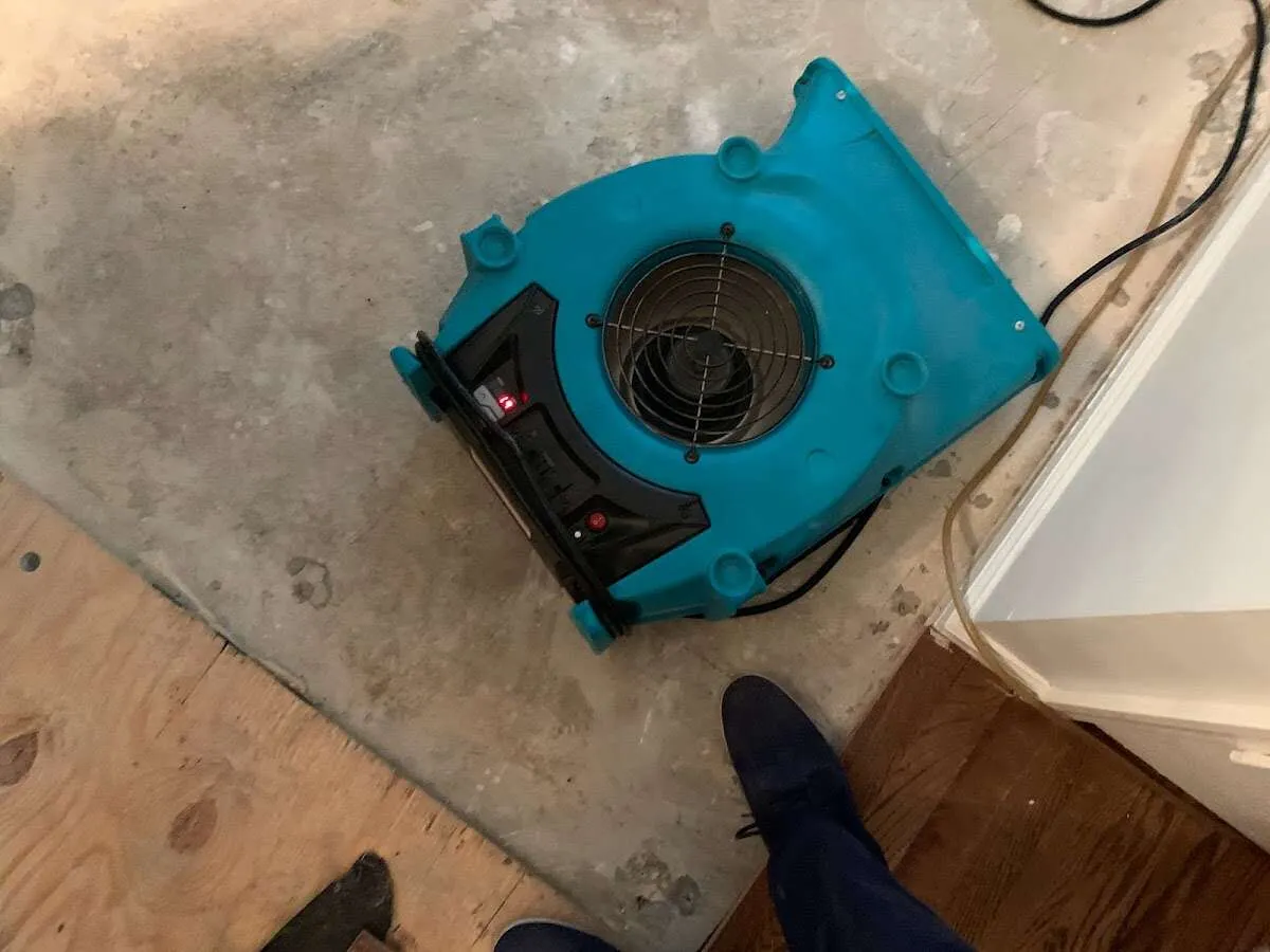 Air mover drying subfloor during Leak Detection & Repair in Rio Rancho